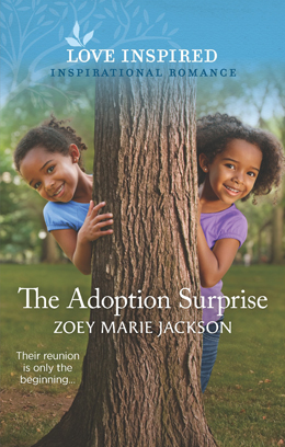 The Adoption Surprise Book